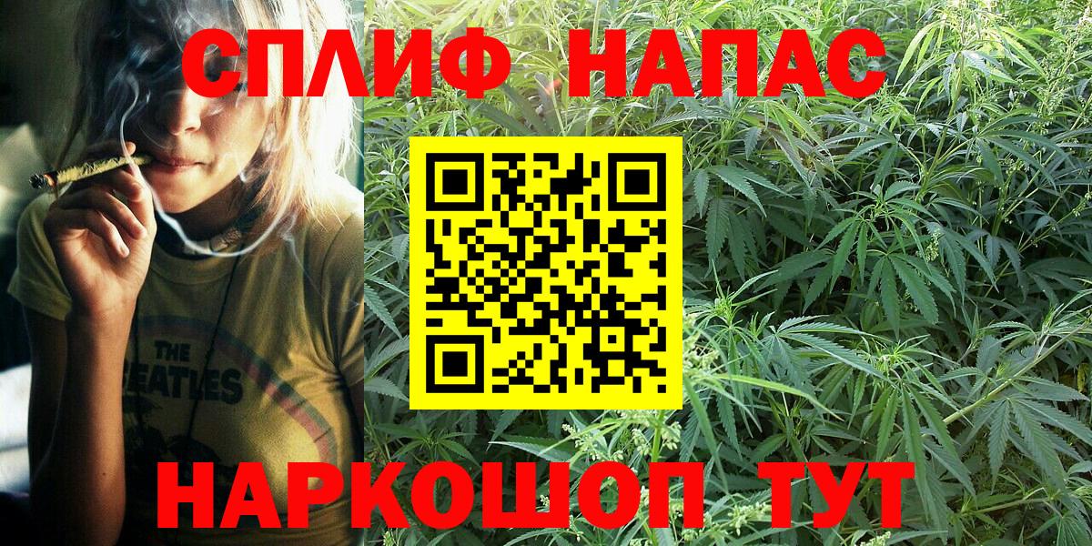 Канабис план Ишим